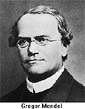 Mendel